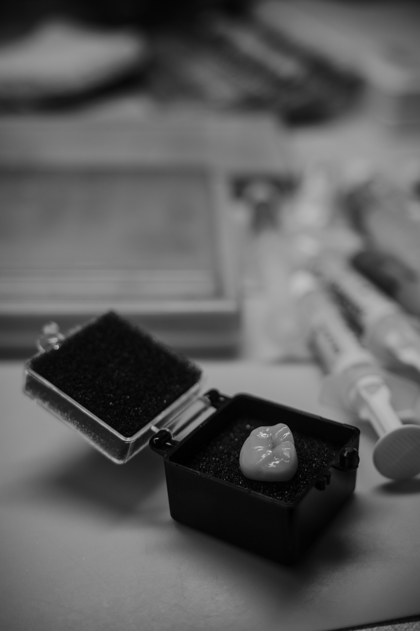 Finished zirconia crown in foam case