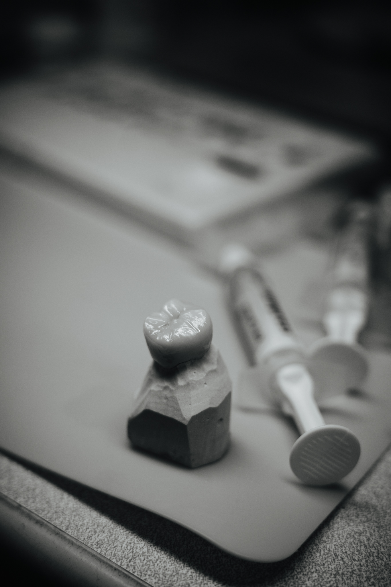 PFZ crown sectioned die still life